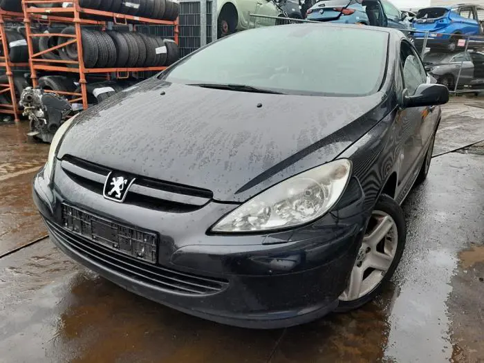 Portierruit 2Deurs links Peugeot 307