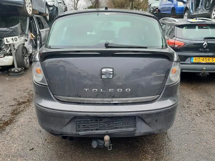 Hayon Seat Toledo