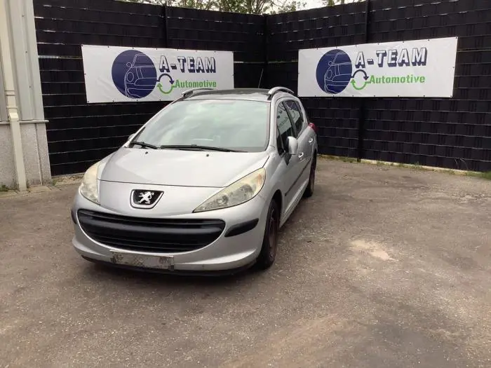 Faux châssis Peugeot 207