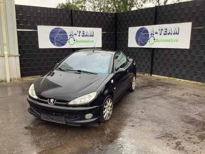 Kit amortisseur gaz hayon Peugeot 206