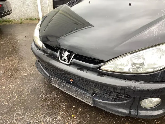 Calandre Peugeot 206